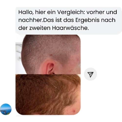 Neues Projekt(11)