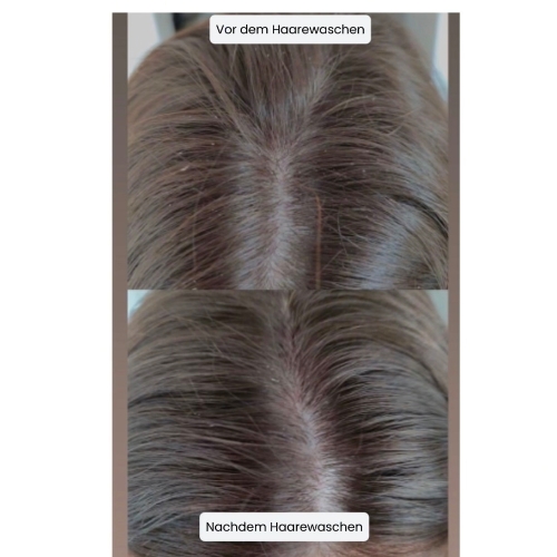 Neues Projekt(10)