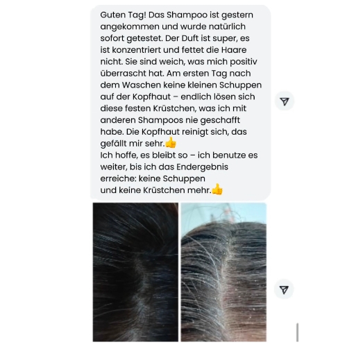 Neues Projekt(13)